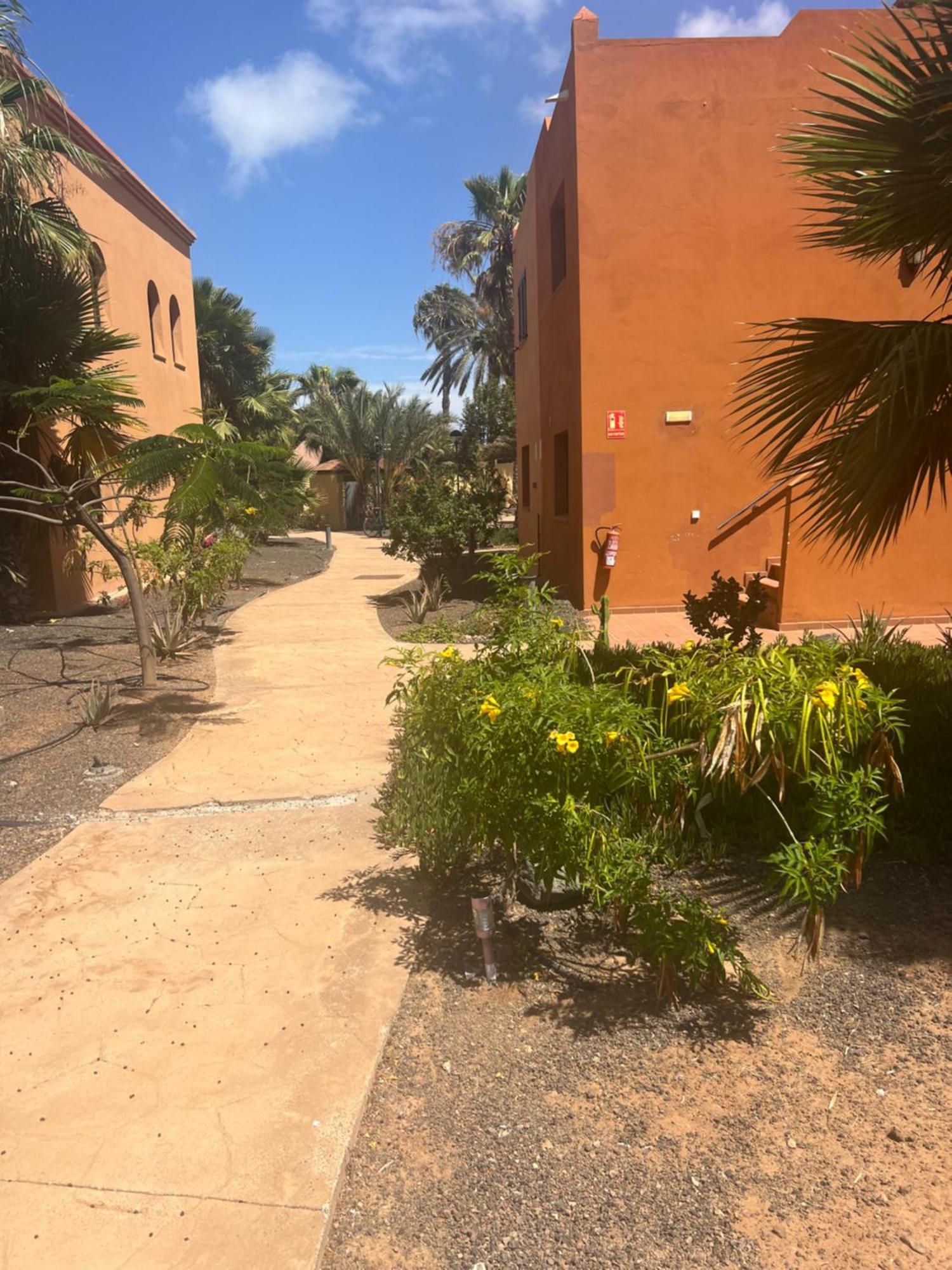 Paraiso Del Mar Коралео Екстериор снимка